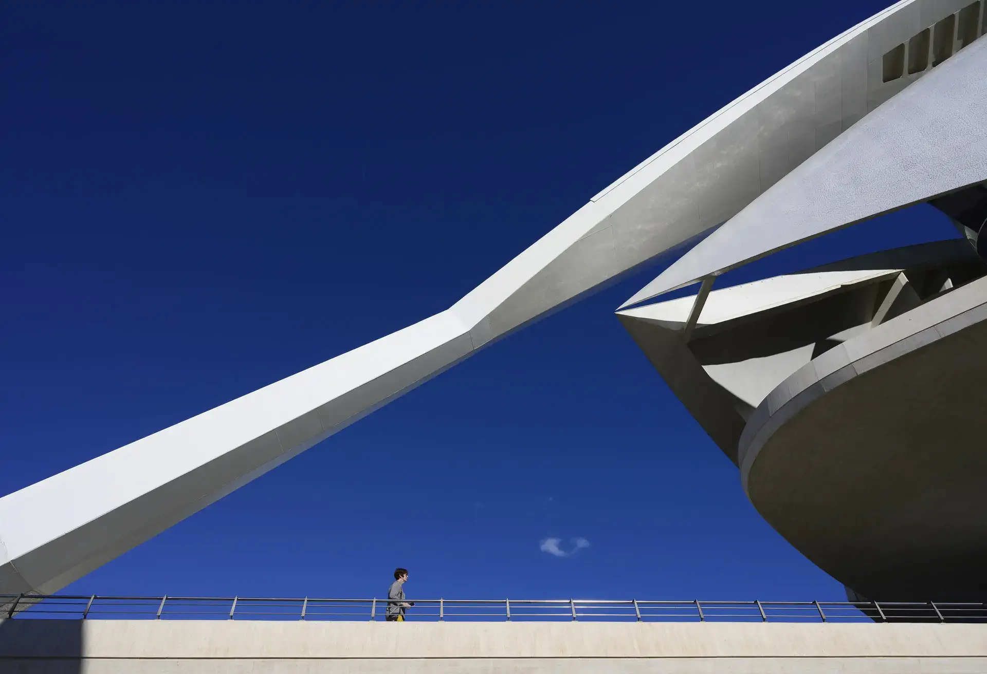 Desde luego, el Palacio de las Artes Reina Sofía de Valencia tiene un aspecto muy futurist