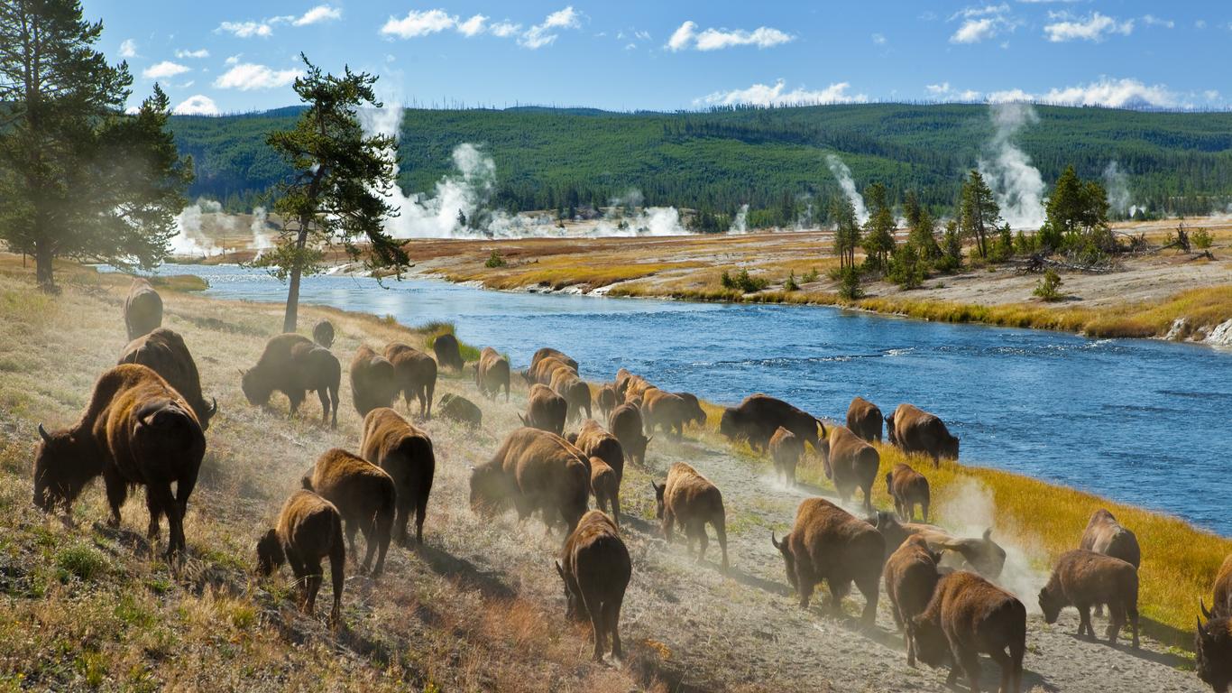 Vuelos a Parque Nacional de Yellowstone