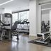 Gimnasio