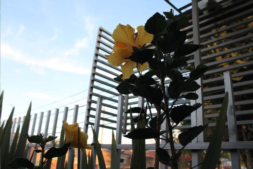 Vista del exterior
