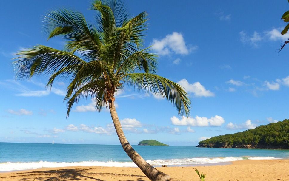 Playa Foto