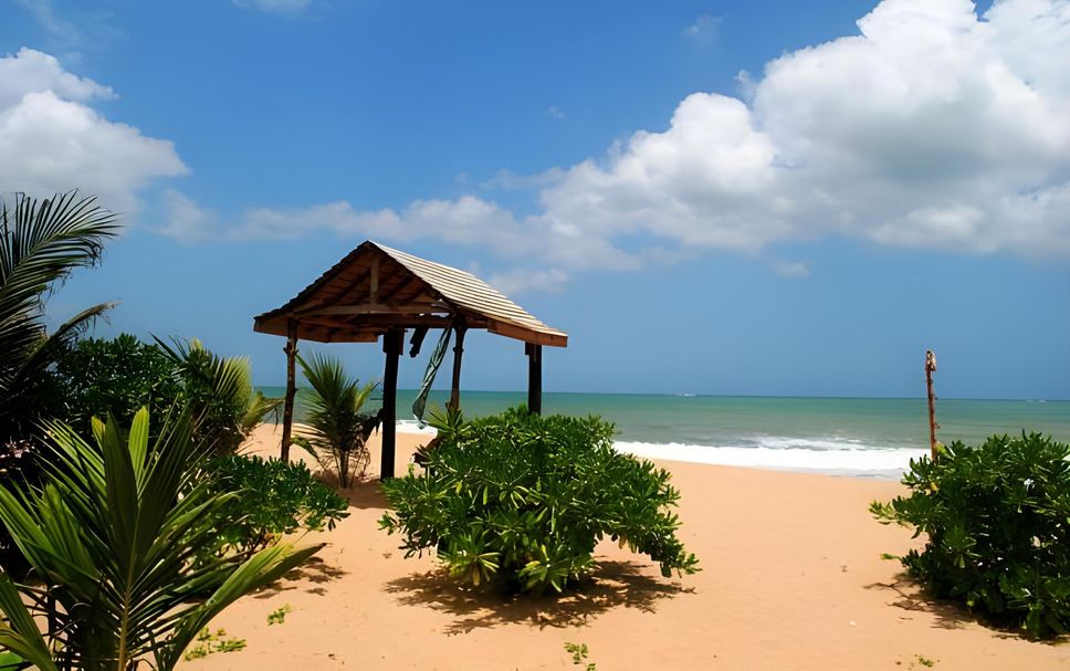 Playa Foto