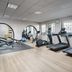Gimnasio