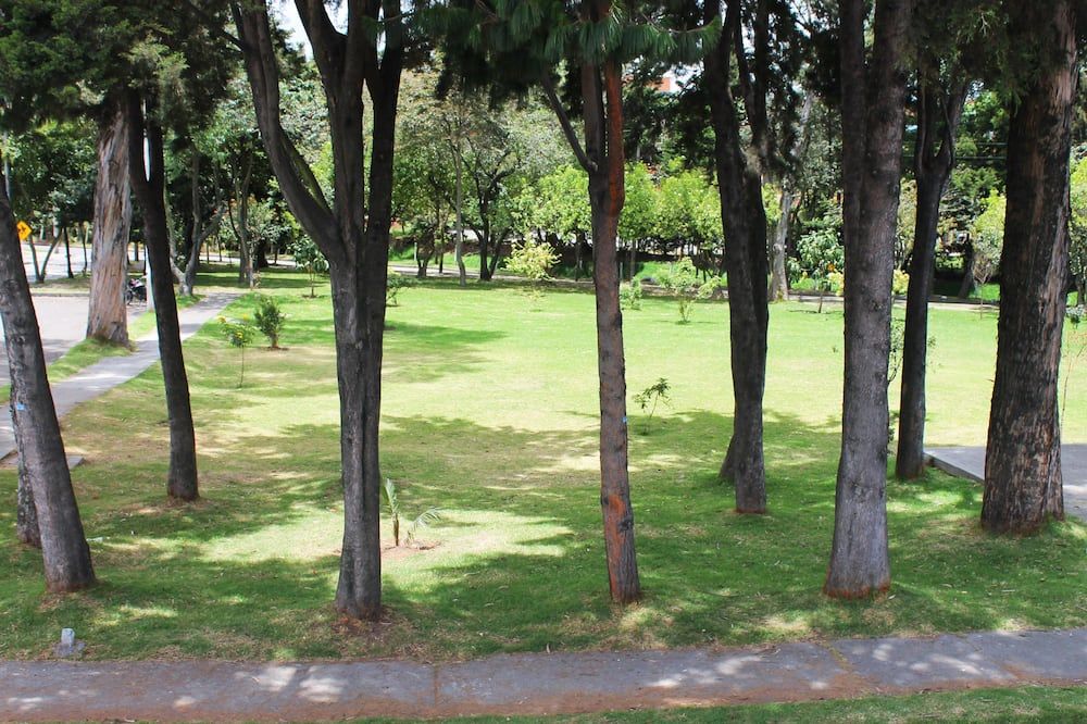 Vista del exterior