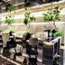 Otro