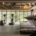 Gimnasio