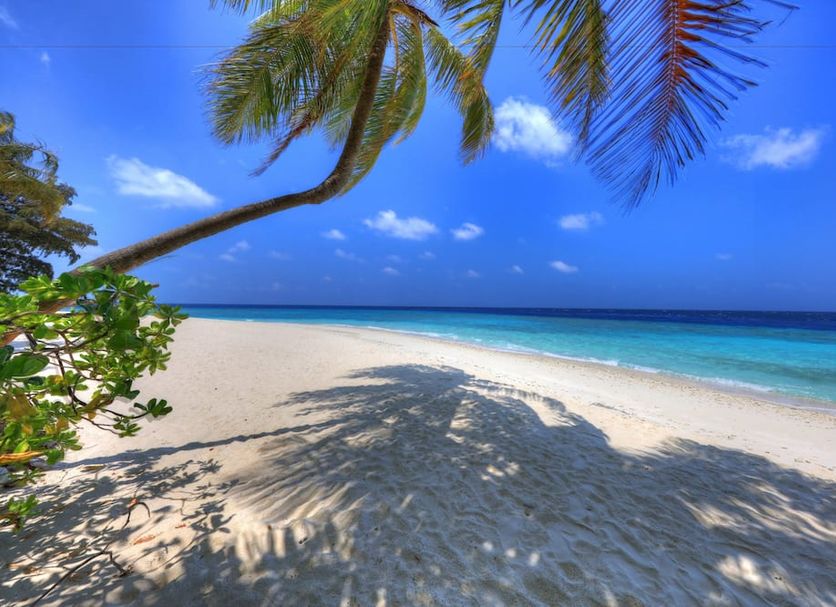 Playa Foto
