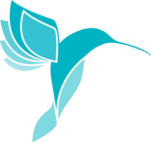 EcoJet